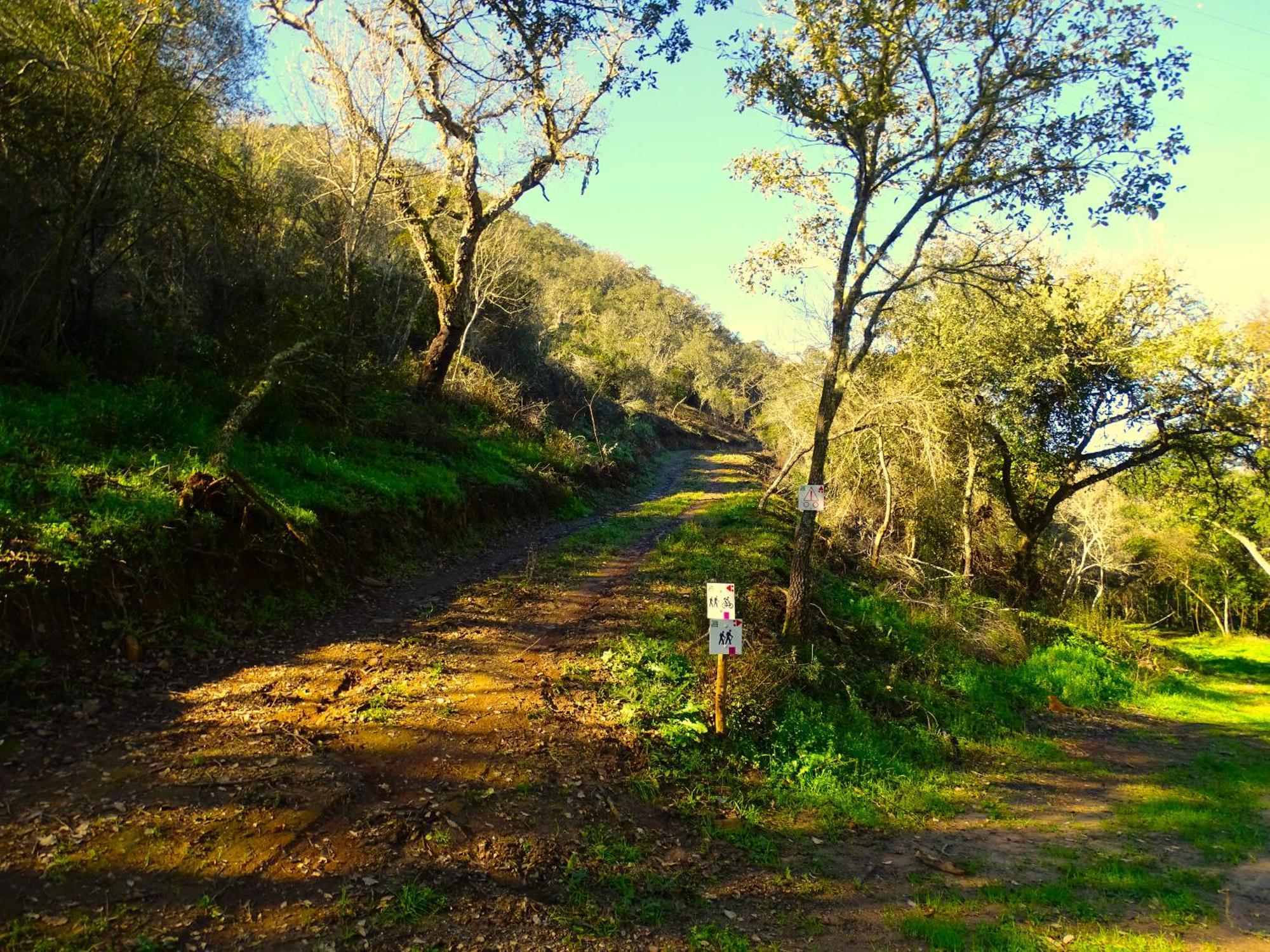 Herdade Vale De Gaios By Stay In Alentejo Sao Luis Exterior photo