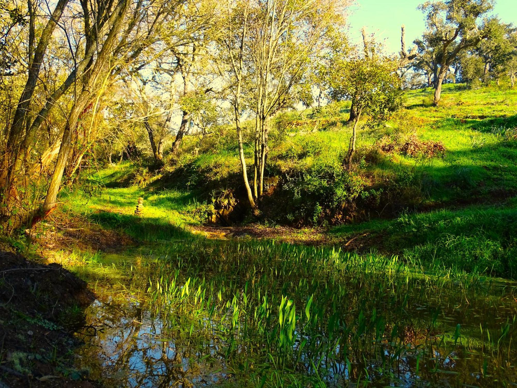 Herdade Vale De Gaios By Stay In Alentejo Sao Luis Exterior photo